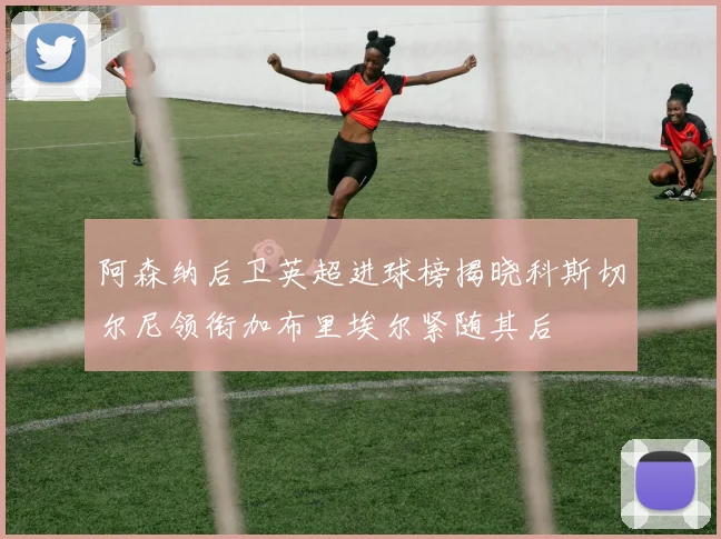 阿森纳后卫英超进球榜揭晓科斯切尔尼领衔加布里埃尔紧随其后